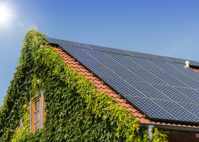 Photovoltaik und Steuern – relevante Beratungsinformationen für das Fachhandwerk